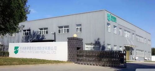 天津京津電子商務產業(yè)園 高質量發(fā)展的蝶變之旅