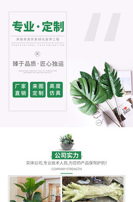 園藝鮮花電商運營全攻略 從供應(yīng)鏈到客戶復(fù)購的實戰(zhàn)模型
