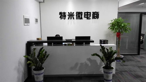 長沙特米電子商務(wù) 數(shù)字化轉(zhuǎn)型中的新零售探索